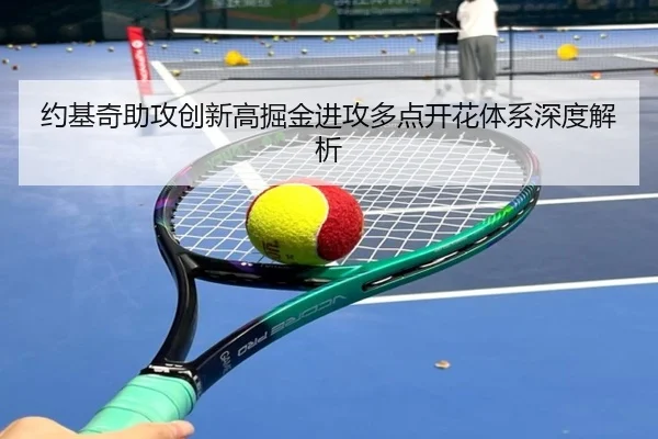 约基奇助攻创新高掘金进攻多点开花体系深度解析